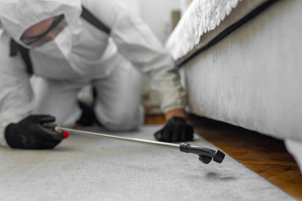 Professional Bed Bug Control technician working in Beach City, TX