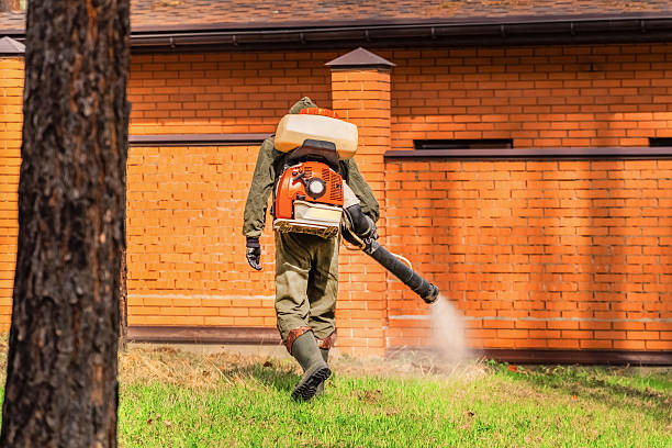 Trusted Bed Bug Control service in Beach City, TX - Nex Pest Control